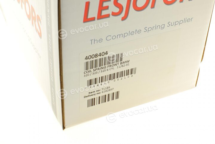 Lesjofors 4008404