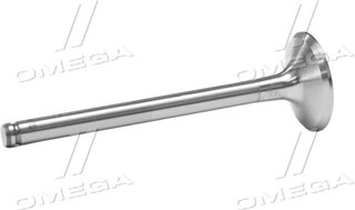 Gunes 4666