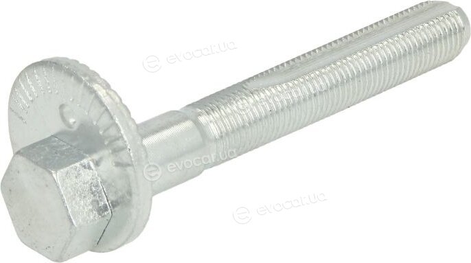 Tedgum TED53513