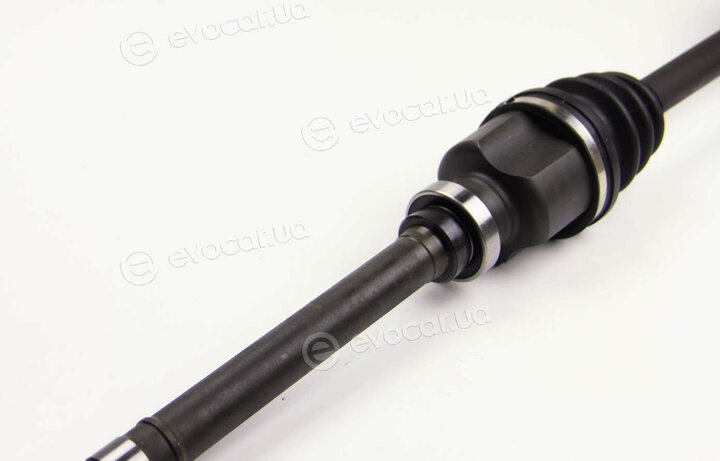 BGA DS1410R