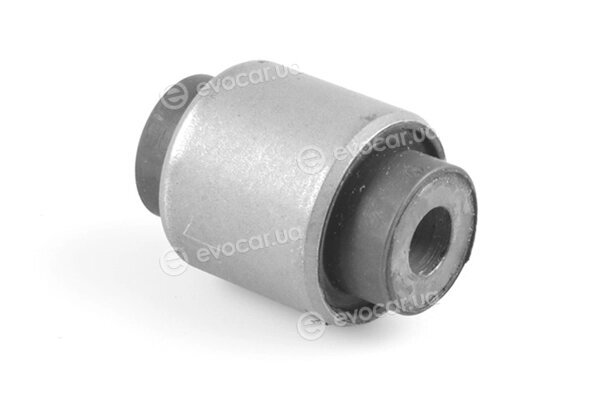 Tedgum TED89583