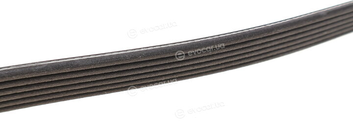 Dayco 6PK1450