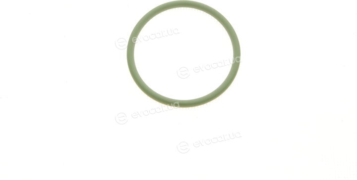 Elring 309.980
