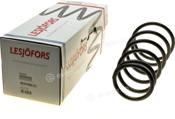 Lesjofors 4244204