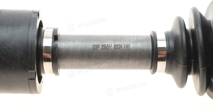 GSP 259661