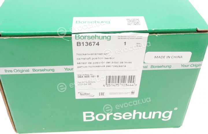 Borsehung B13674