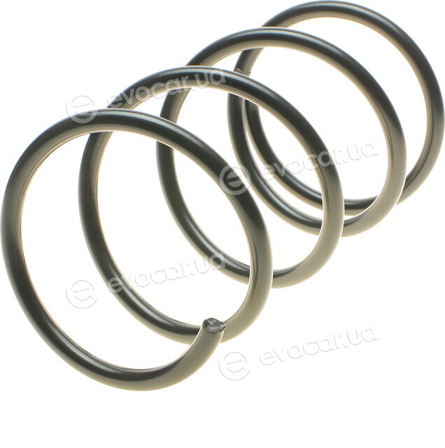 Lesjofors 4059256