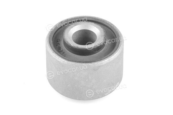 Tedgum 024801