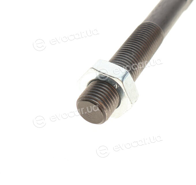 Solgy 205096