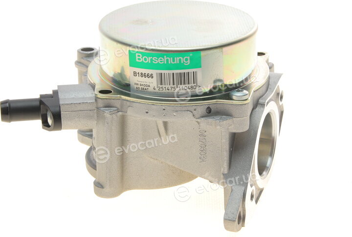 Borsehung B18666