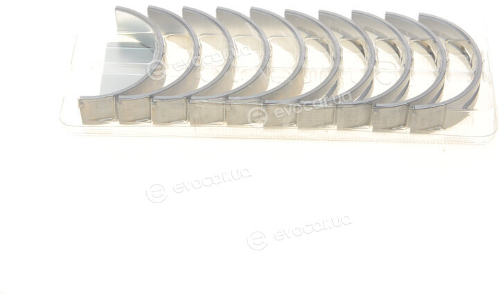 Borsehung B11329