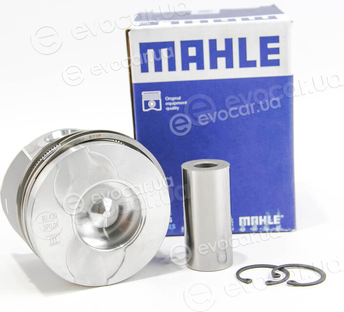 Mahle 021 58 02