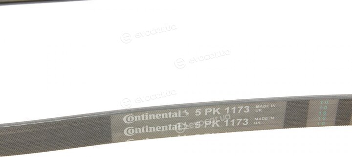 Continental 5PK1173