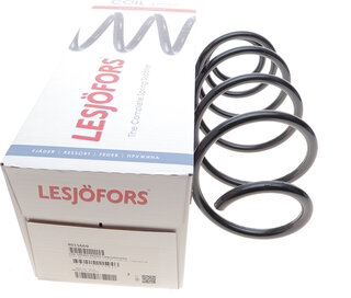 Lesjofors 4015669