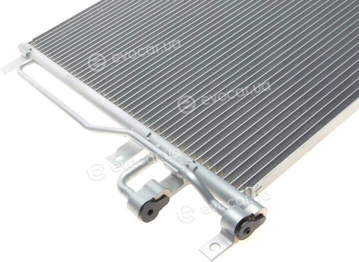 Van Wezel 37005436