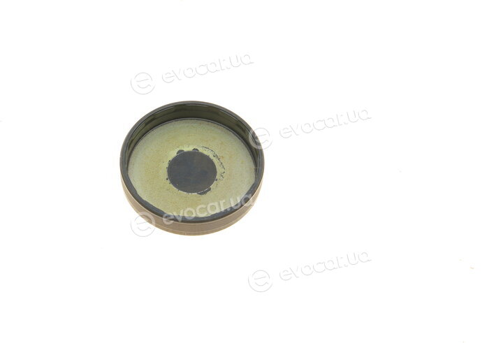 Dayco KTBWP5171