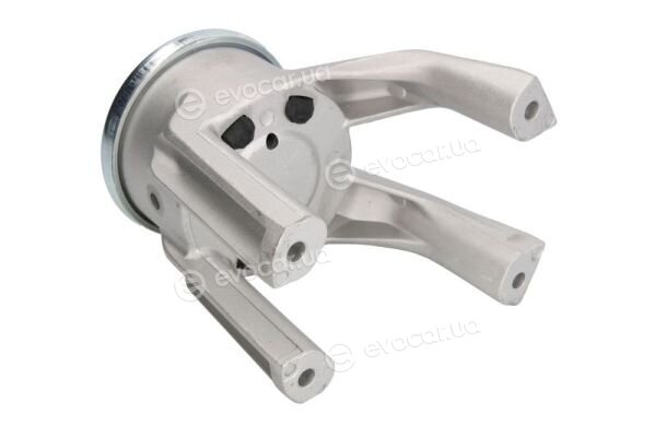 Reinhoch RH11-0126