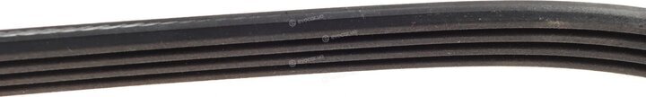 Dayco 4PK725