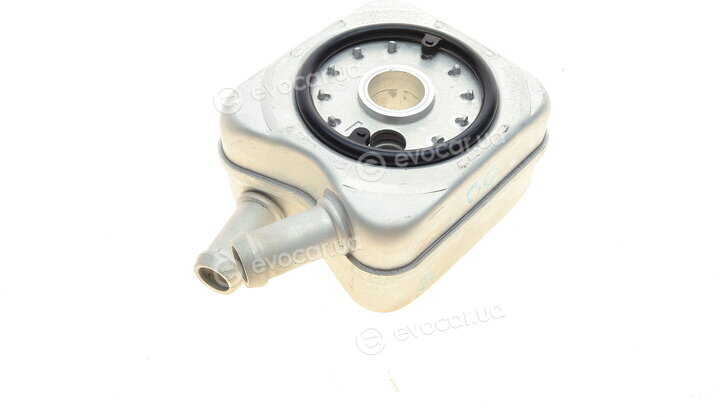 Van Wezel 58003106
