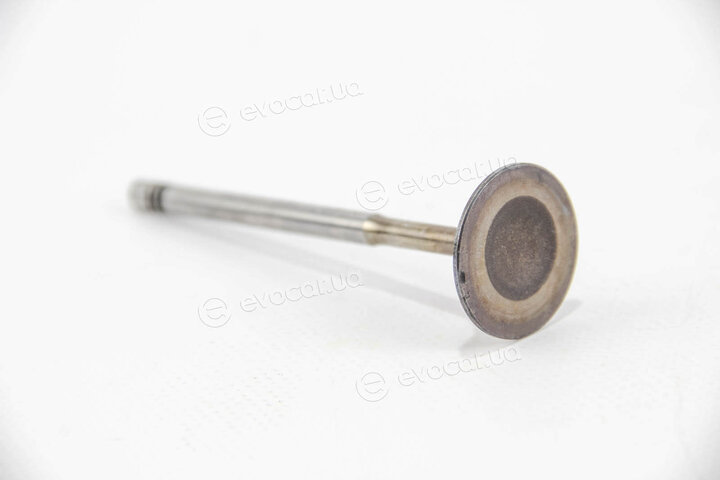 Mahle 029 VE 30528 000