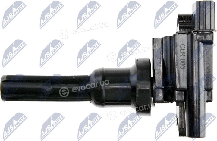 NTY ECZ-MS-012