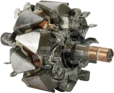 HC Cargo 239622