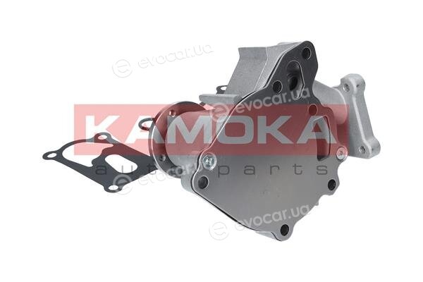 Kamoka T0161
