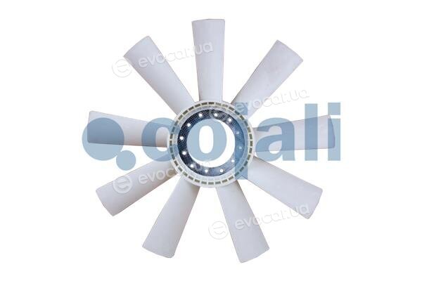 Cojali 7037106