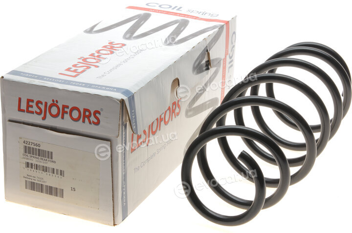 Lesjofors 4227560