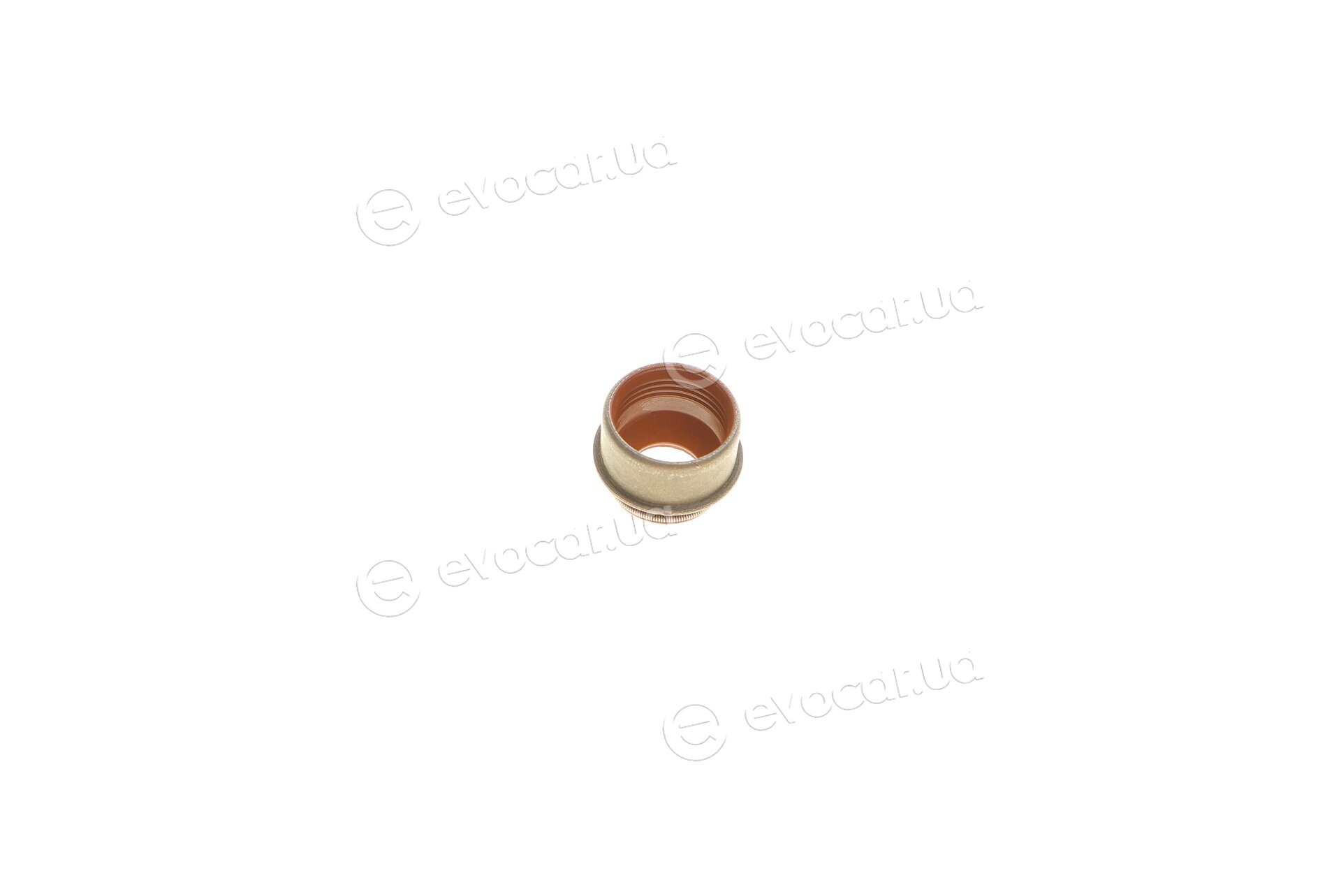 Elring 827.606