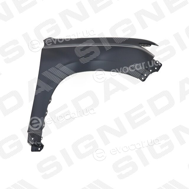 Signeda PTY10479AR