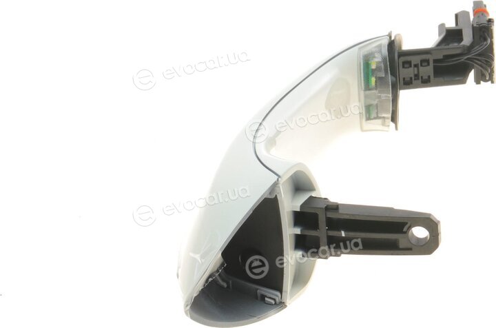 Solgy 305071