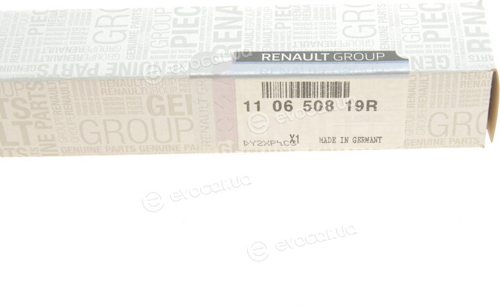 Renault / Nissan 110650819R