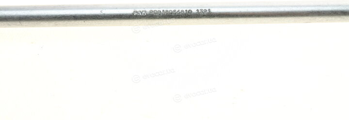 FAG 818 0568 10