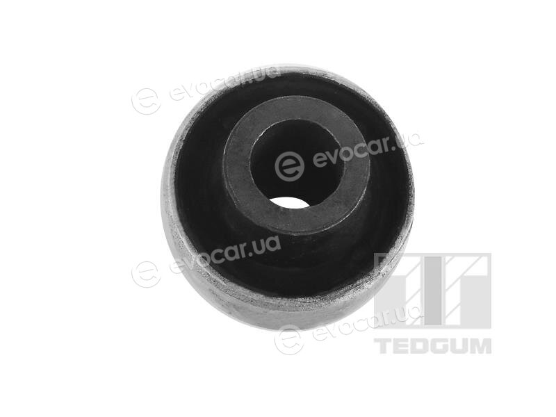 Tedgum 00588846