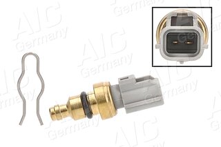 AIC 55134
