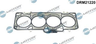 Dr. Motor DRM21220