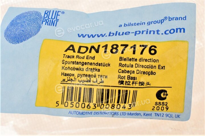 Blue Print ADN187176