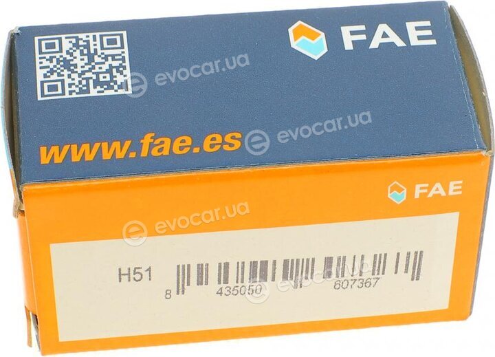 FAE 40600