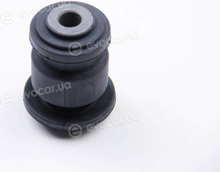 BC Guma 0938
