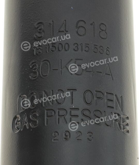 Sachs 314 618