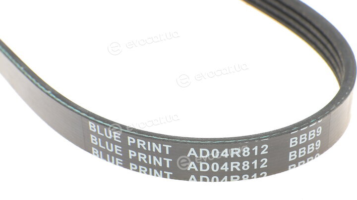 Blue Print AD04R812
