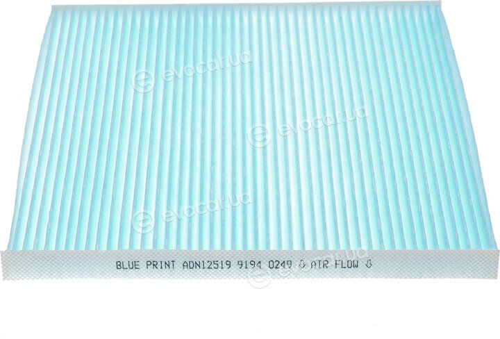 Blue Print ADN12519