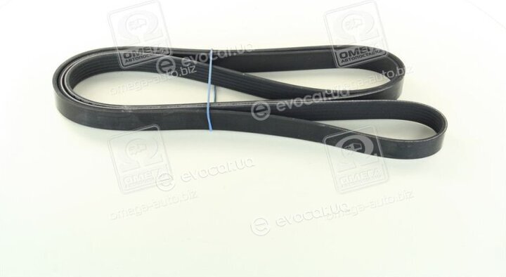 Continental 6PK2196