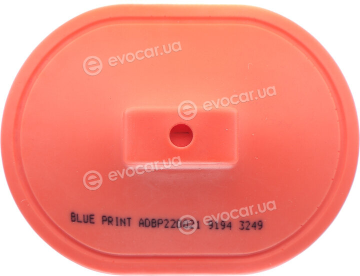 Blue Print ADBP220021