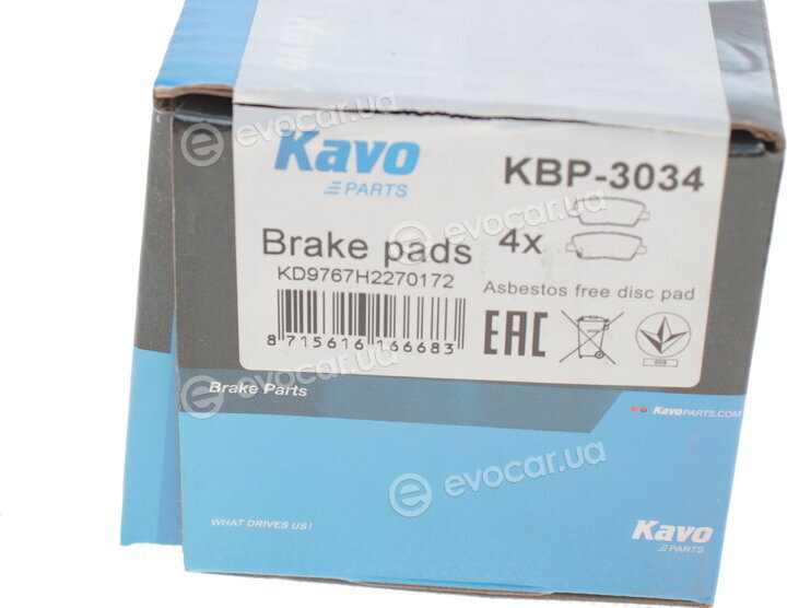 Kavo KBP-3034