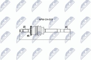 NTY NPW-CH-019
