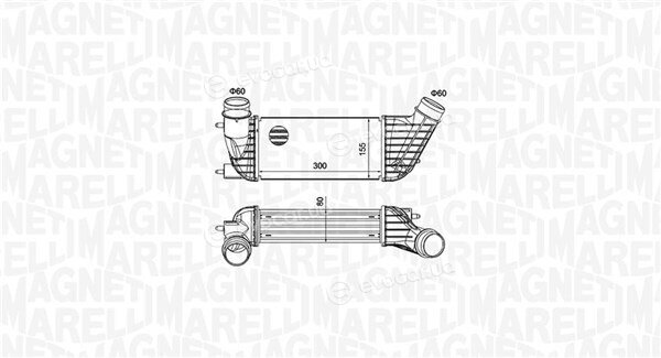 Magneti Marelli 351319204260