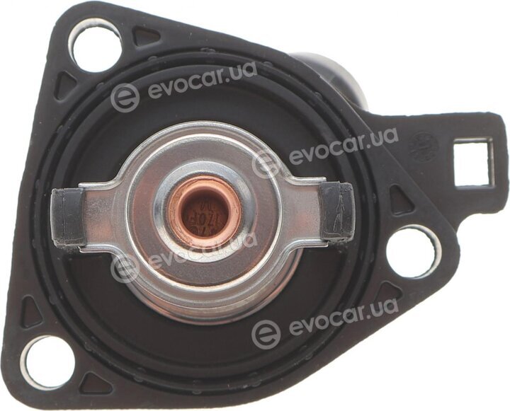 Motorad 636-77K