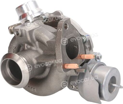 BorgWarner 54389880006